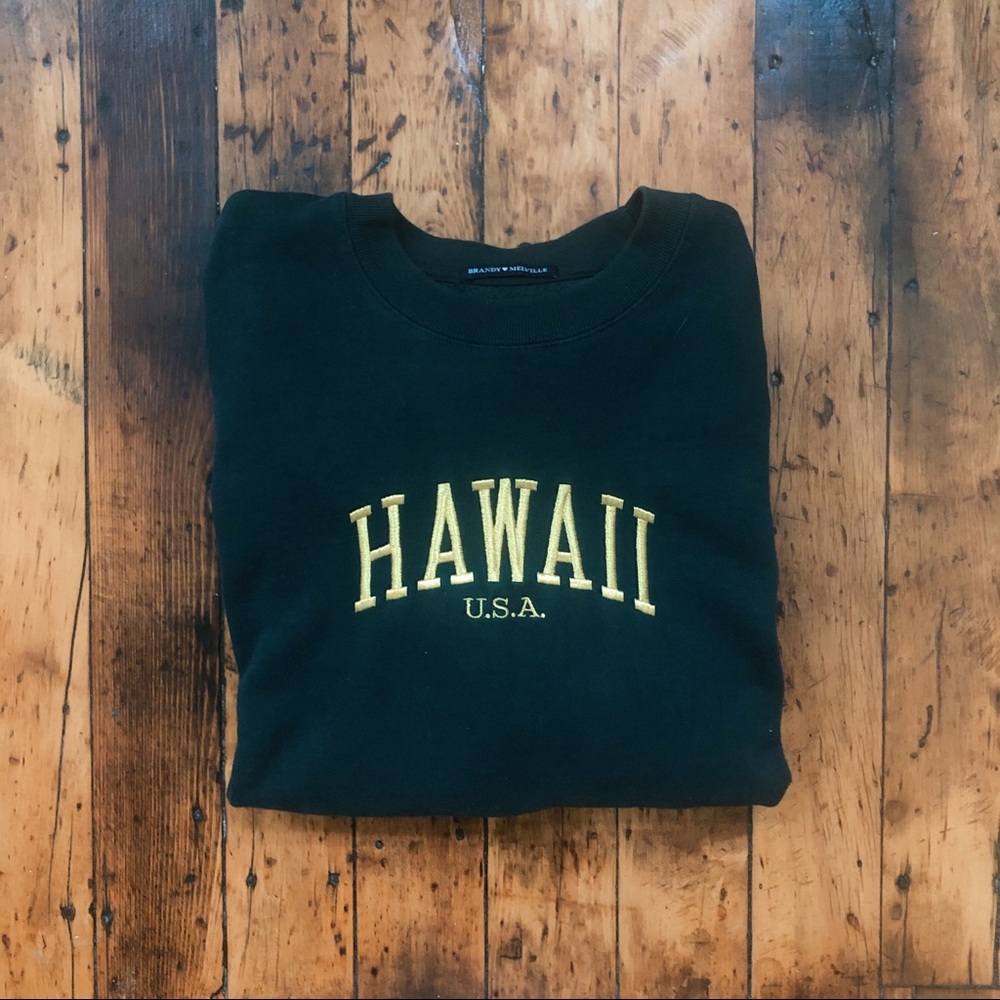 Hawaii Erica 🌊🌴